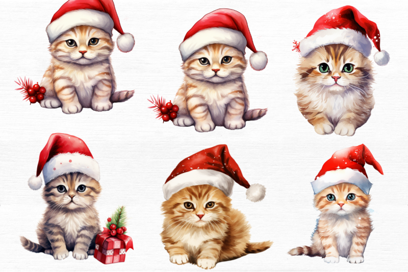 cat-cute-christmas-sublimation-clipart