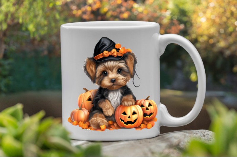 trick-or-treat-yorkshire-terrier-dog