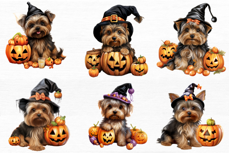 trick-or-treat-yorkshire-terrier-dog