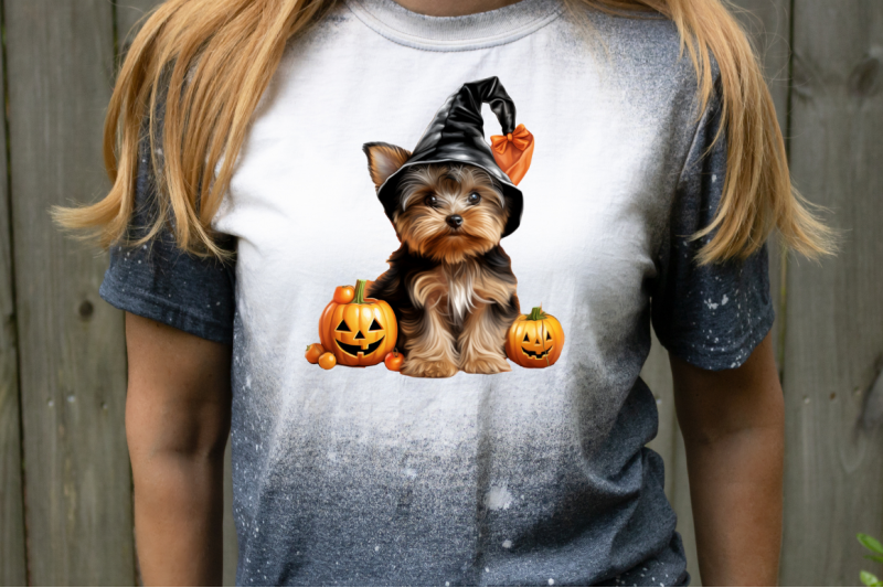 trick-or-treat-yorkshire-terrier-dog