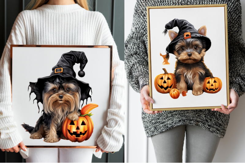 trick-or-treat-yorkshire-terrier-dog