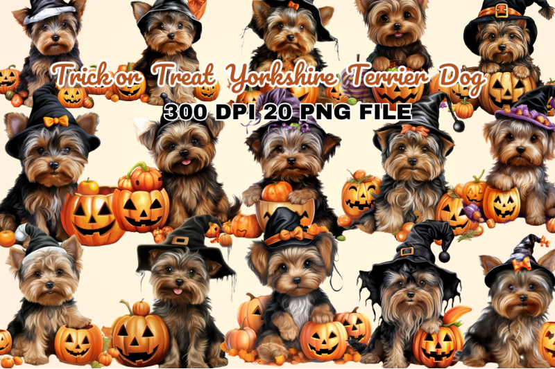 trick-or-treat-yorkshire-terrier-dog