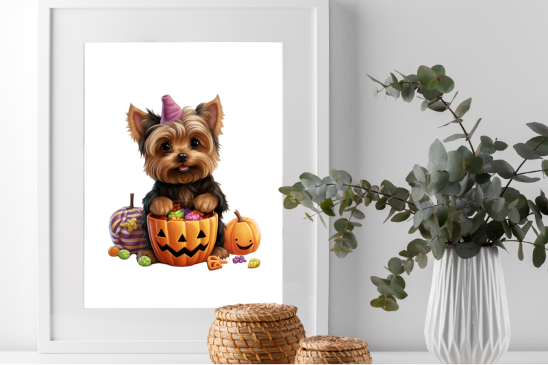 trick-or-treat-yorkshire-terrier-dog