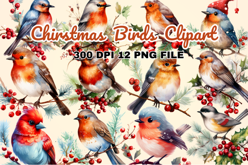 chirstmas-birds-clipart-bundle