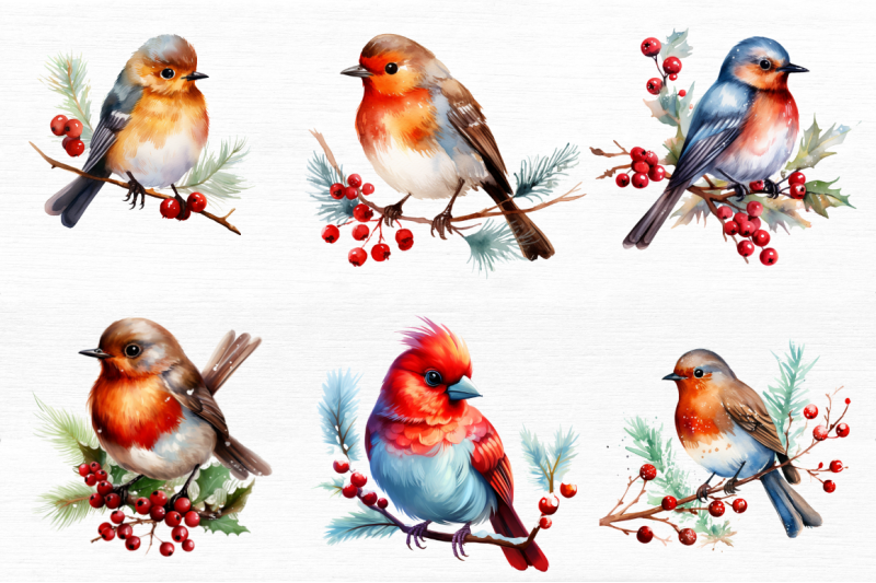 chirstmas-birds-clipart-bundle