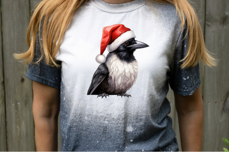 watercolor-santa-crow-bird-clipart