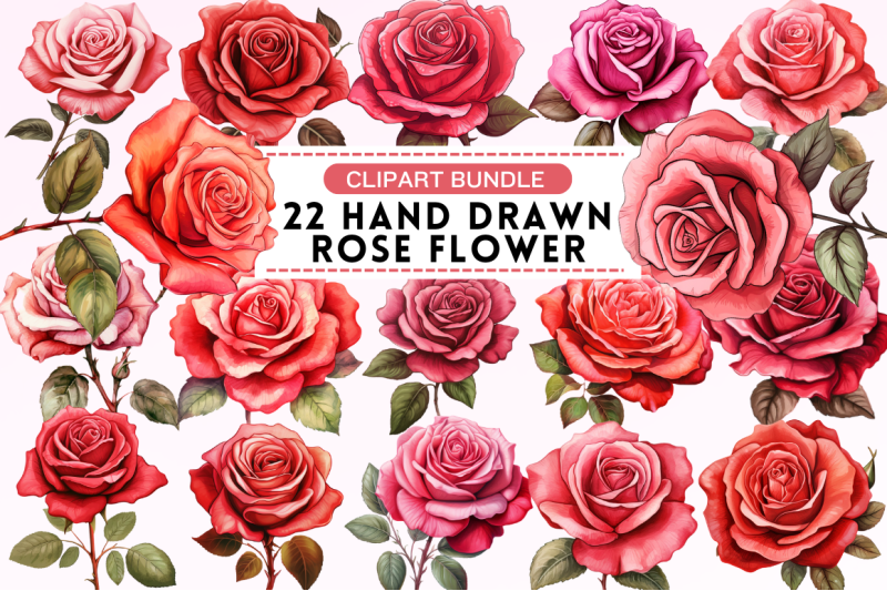 hand-drawn-rose-flower-clipart-bundle