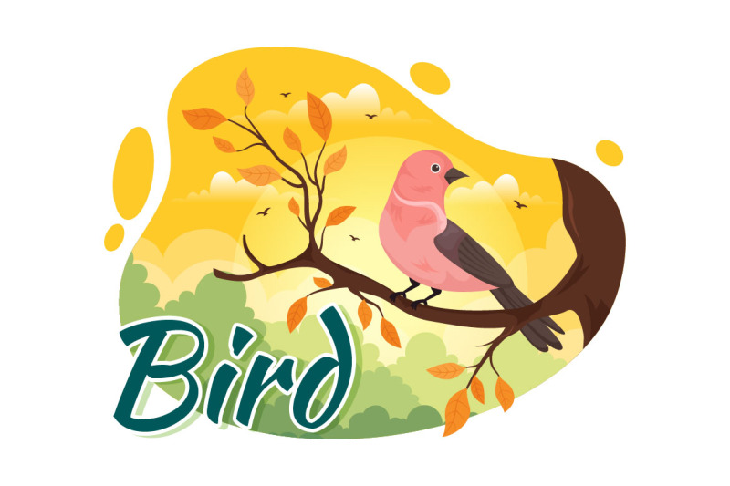 11-bird-animal-vector-illustration