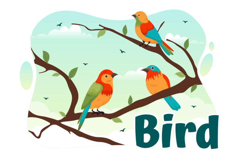 11-bird-animal-vector-illustration