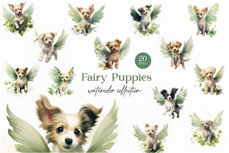 fairy-puppies