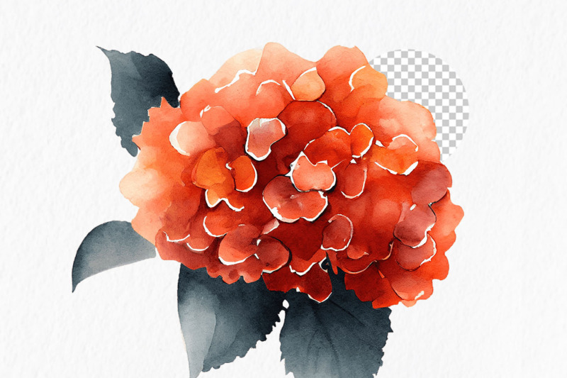 autumn-hydrangeas-watercolor-clipart-png