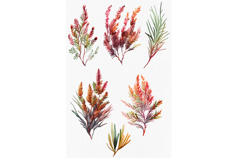 autumn-floral-watercolor-clipart-png