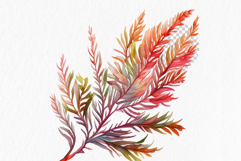 autumn-floral-watercolor-clipart-png