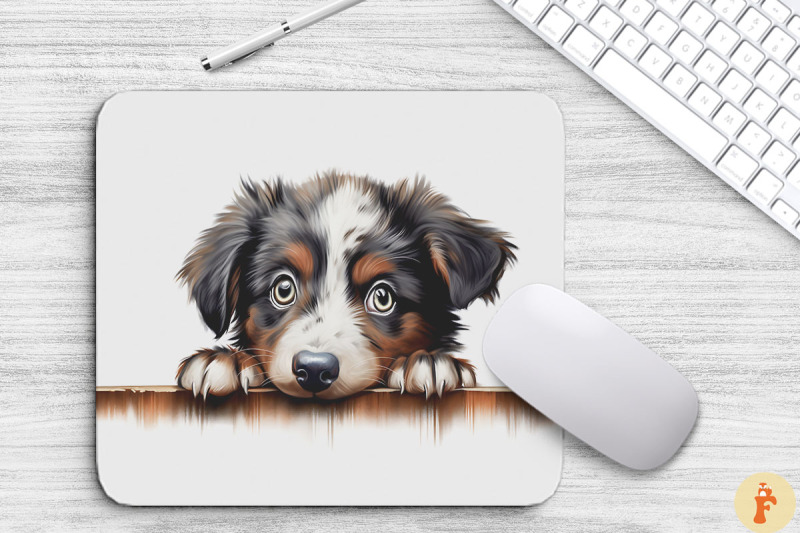 cute-peeking-australian-shepherd-dog