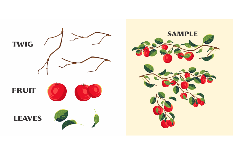 collection-of-apple-trees-twigs-leaves-and-fruit