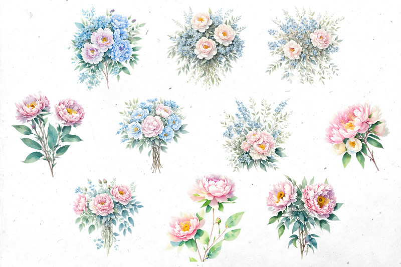 peony-amp-forget-me-not-watercolor-bundle-png-cliparts