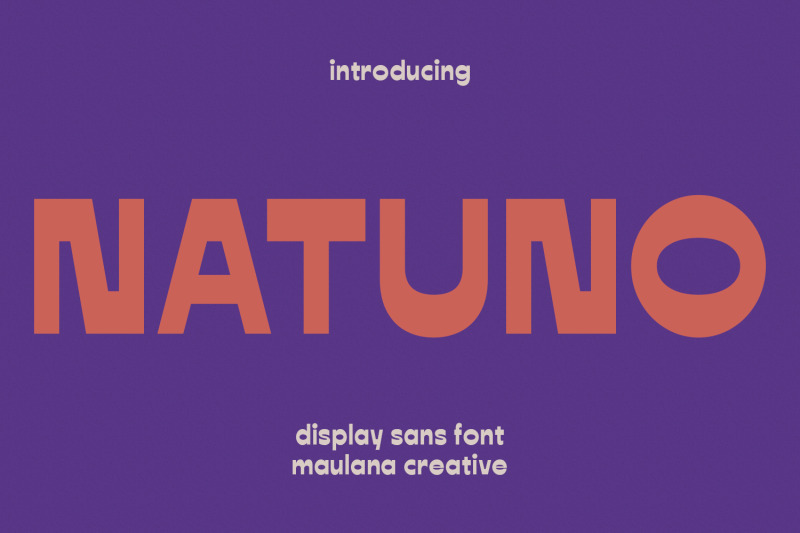 natuno-reverse-contrast-display-sans-font