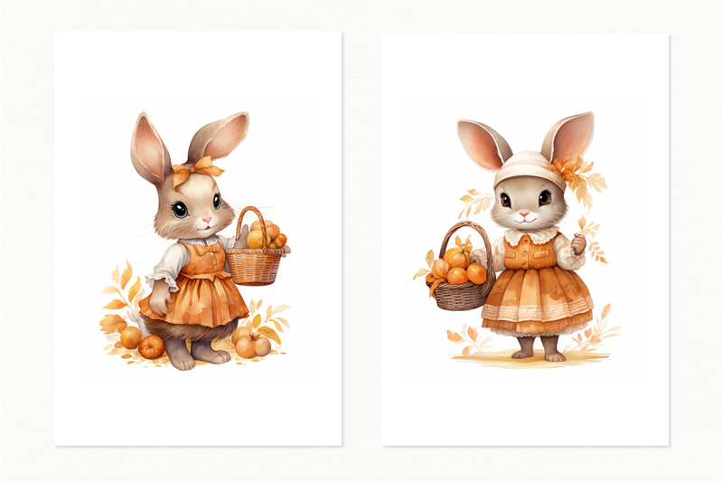 bunny-pumpkin-harvest