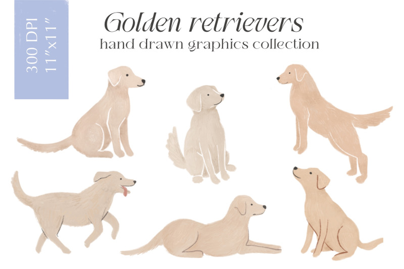 golden-retriever-dog-clipart