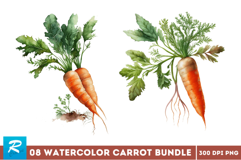 watercolor-carrot-bundle