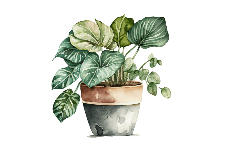 watercolor-potted-plant-bundle
