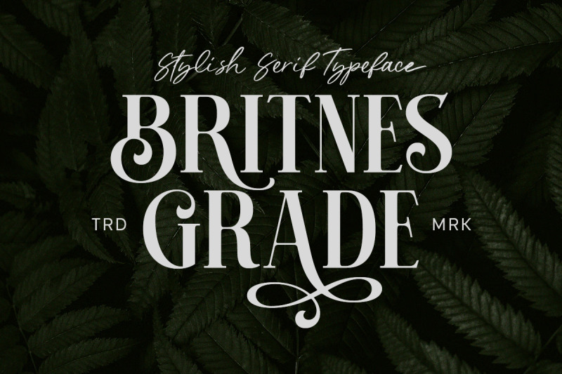 britnes-grade-stylish-serif-typeface
