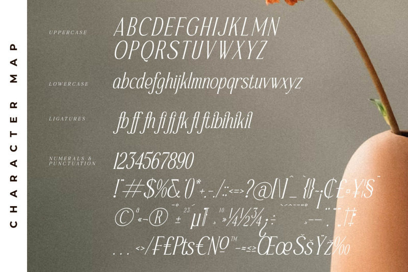 safilms-crawford-typeface