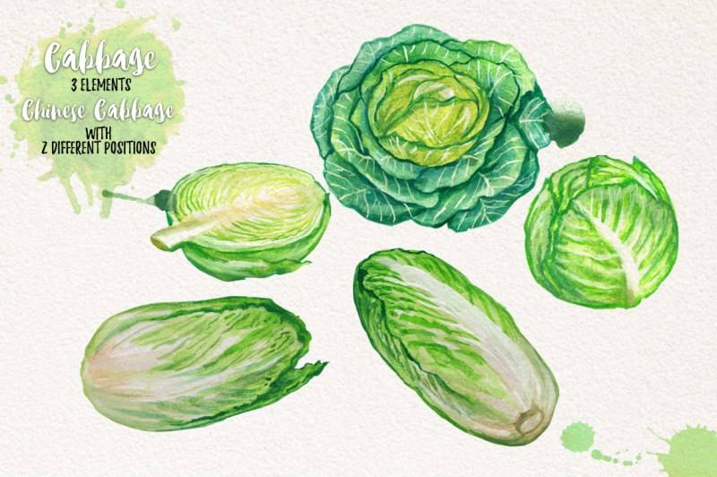 watercolor-vegetables-herbs