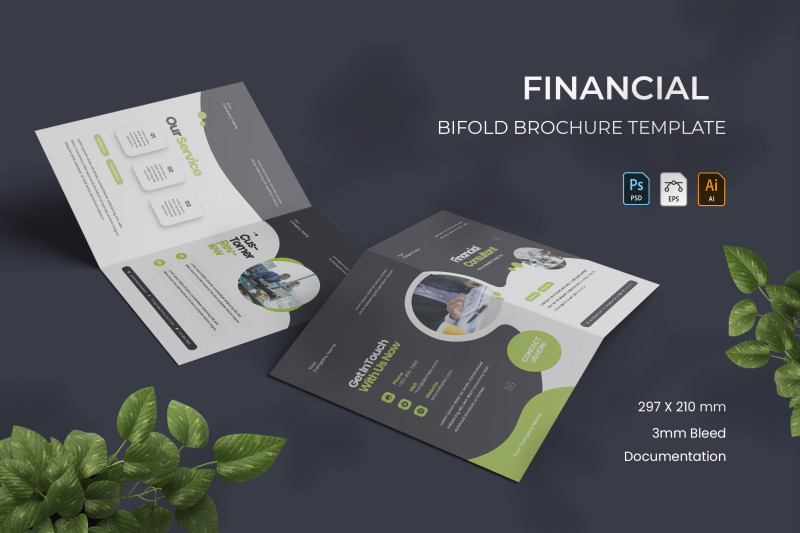 financial-bifold-brochure