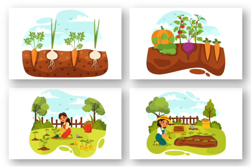 11-growing-vegetables-illustration