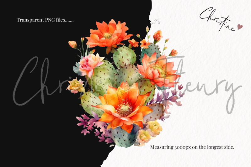 watercolor-cactus-flower-clipart