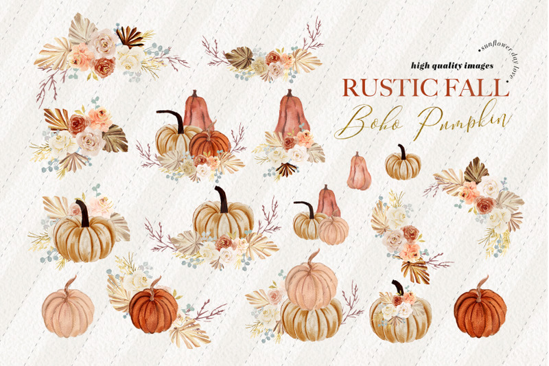 rustic-fall-pumpkin-pampas-grass-clipart-little-pumpkin