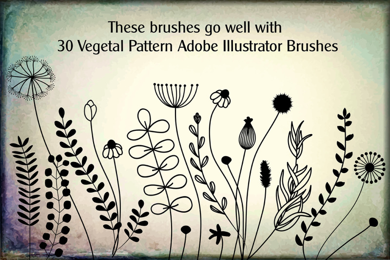 30-floral-adobe-illustrator-brushes-cute-hand-drawn-vector-border-t