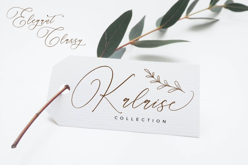 parmidass-elarista-luxury-script-font