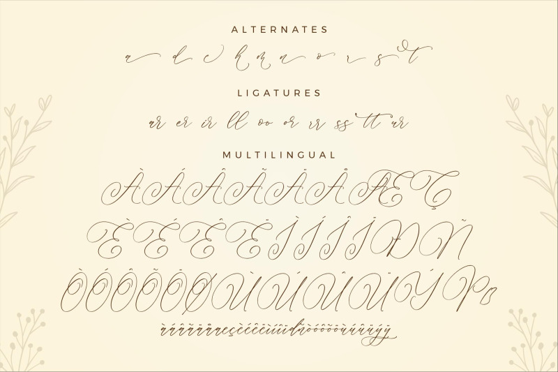 parmidass-elarista-luxury-script-font