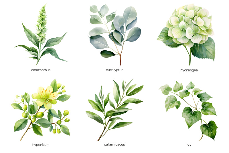 watercolor-green-wedding-flowers-and-leaves-clipart-greenery-clip-art-green-color-plants-green-floral-wedding-watercolor-set
