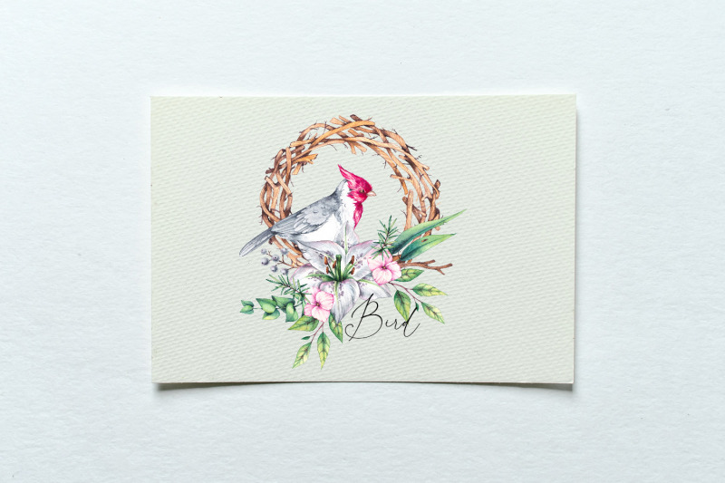 watercolor-cardinal-birds-wreaths-and-compositions-png