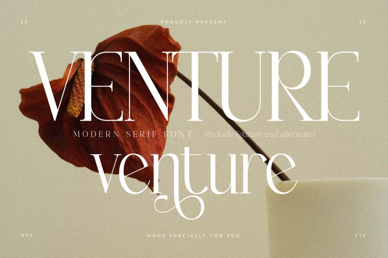 venture-typeface