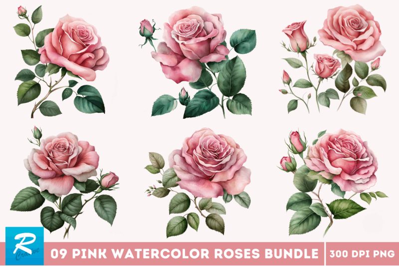 pink-watercolor-roses-clipart-bundle