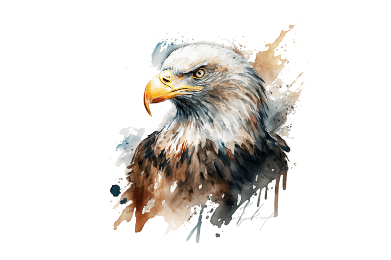 watercolor-bald-eagle-clipart-bundle