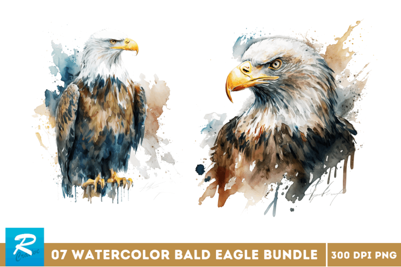 watercolor-bald-eagle-clipart-bundle