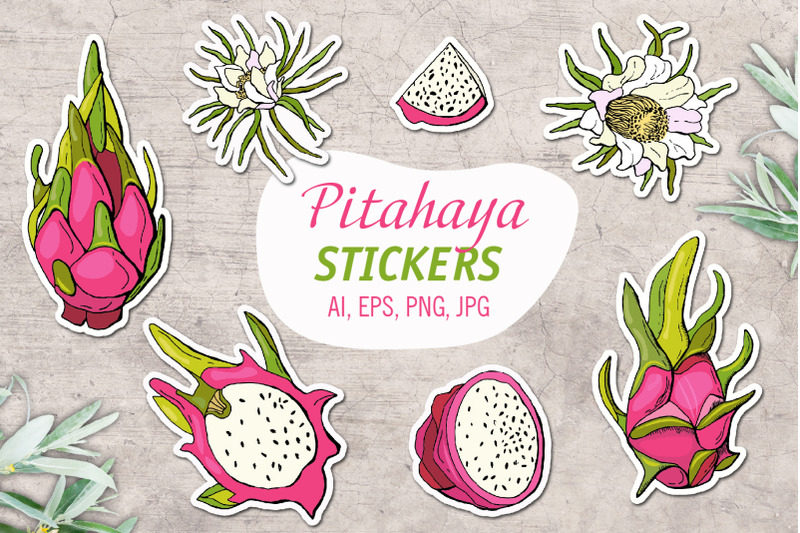 pitahaya-printable-stickers-cricut-design