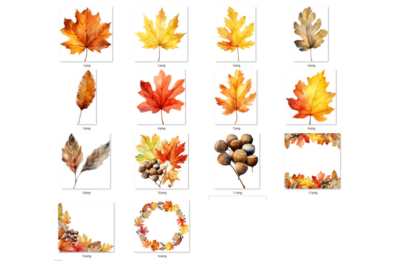 autumn-leaves-clipart