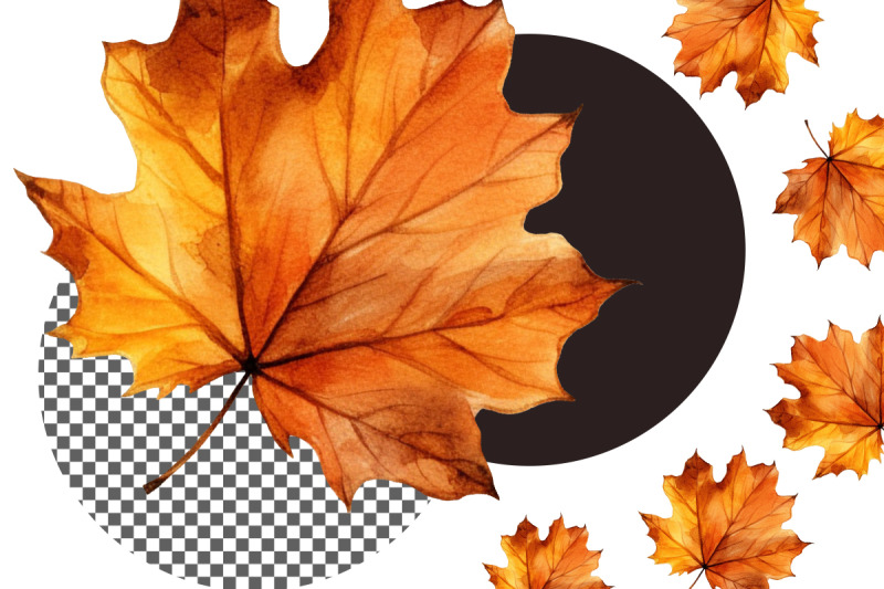 autumn-leaves-clipart