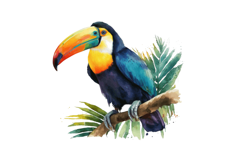 watercolor-toucans-clipart-bundle