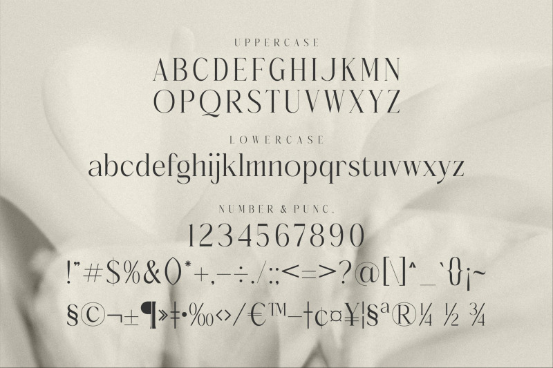 molerta-typeface