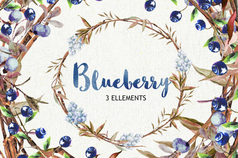 blueberry-watercolor-clipart