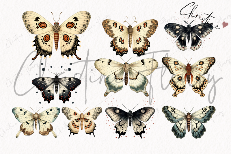 vintage-goth-moth-clipart