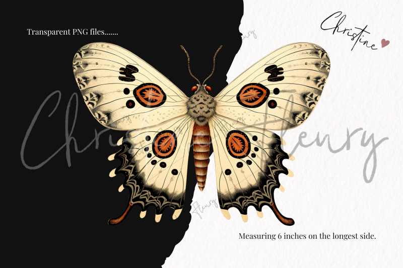 vintage-goth-moth-clipart