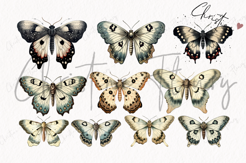 vintage-goth-moth-clipart